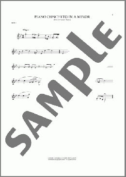 Piano Concerto In A Minor, Op. 16(Edvard Grieg) 楽譜 ホルンソロ ダウンロード