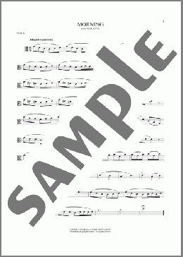 Morning(Edvard Grieg) 楽譜 その他 ダウンロード