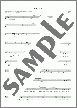What's Up(D. J. Miko/4 Non Blondes) 楽譜 その他 ダウンロード