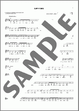 Surfin' Bird(The Trashmen) 楽譜 その他 ダウンロード