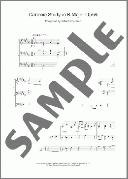 Canonic Study in B Major Op56(Robert Schumann) 楽譜 その他 ダウンロード