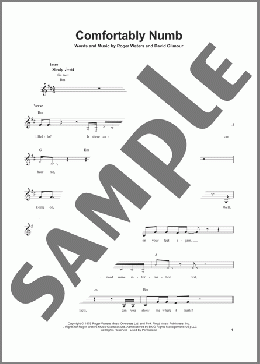 Comfortably Numb(Pink Floyd) 楽譜 ギタースコア ダウンロード