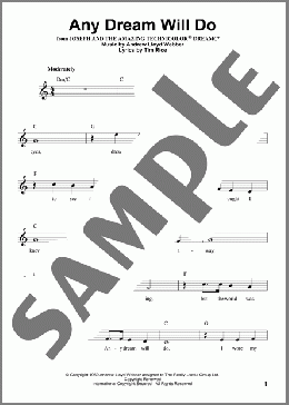 Any Dream Will Do(Tim Rice/Andrew Lloyd Webber) 楽譜 その他 ダウンロード