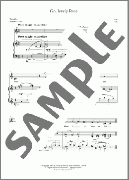 Go, lovely Rose (for mezzo-soprano and piano)(Robin Holloway) 楽譜 ピアノ & ボーカル ダウンロード