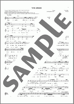 Turn Around(Neil Diamond/Burt Bacharach/Carole Bayer Sager) 楽譜 その他 ダウンロード