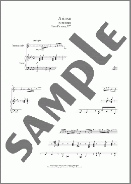 Arioso(Johann Sebastian Bach) 楽譜 その他 ダウンロード