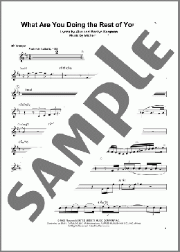 What Are You Doing The Rest Of Your Life?(Chris Botti) 楽譜 トランペット（ソロ） ダウンロード