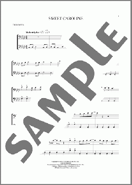 Sweet Caroline(Neil Diamond) 楽譜 その他 ダウンロード