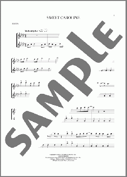 Sweet Caroline(Neil Diamond) 楽譜 その他 ダウンロード