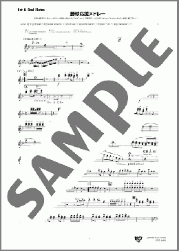 野球応援メドレー(1st & 2nd Flutes)(Yuji Koseki/Kiyofumi Natsume/Jinta Hashi/Syunichi Tokura/Kiyoshi Yano/Anju Ikenami/Yujiro Miki/Kaoru Ushijima) 楽譜 吹奏楽（パート） ダウンロード 定額サブスク