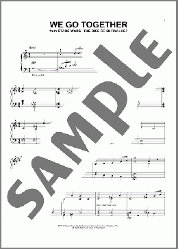 We Go Together (from The Rise Of Skywalker)(John Williams) 楽譜 ピアノ（ソロ） ダウンロード