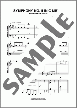 Symphony No. 5 In C Minor, First Movement Excerpt(Ludwig Van Beethoven) 楽譜 その他 ダウンロード