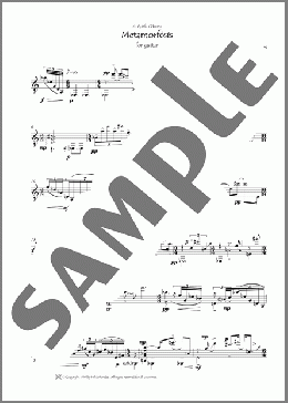 Metamorfosis(Hilda Paredes) 楽譜 ギター（その他） ダウンロード