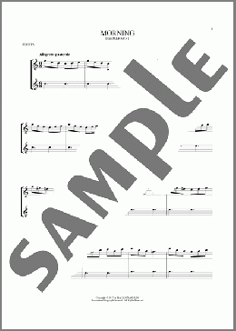 Morning(Edvard Grieg) 楽譜 その他 ダウンロード