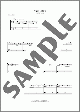 Morning(Edvard Grieg) 楽譜 その他 ダウンロード