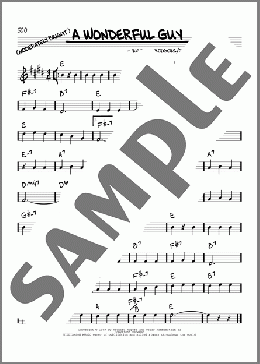 A Wonderful Guy(Richard Rodgers/Oscar Hammerstein II/Rodgers & Hammerstein) 楽譜 その他 ダウンロード