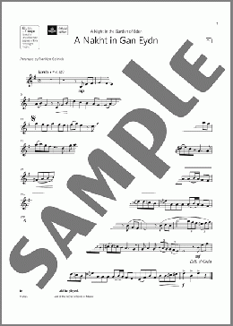 A Nakht in Gan Eydn  (Grade 4 List C2 from the ABRSM Clarinet syllabus from 2022)(Trad. Klezmer) 楽譜 クラリネット ダウンロード