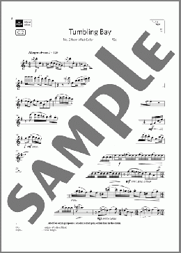 Tumbling Bay (from West Oxford Walks) (Grade 7 List C2 from the ABRSM Flute syllabus from 2022)(Anthony Hedges) 楽譜 フルート ダウンロード