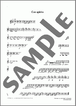 Con spirito from Graded Music for Snare Drum, Book II(Ian Wright/Kevin Hathway/Ian Wright and Kevin Hathaway) 楽譜 その他 ダウンロード