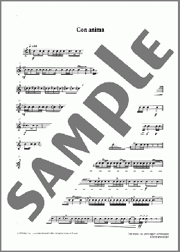 Con anima from Graded Music for Snare Drum, Book III(Ian Wright/Kevin Hathway/Ian Wright and Kevin Hathaway) 楽譜 その他 ダウンロード
