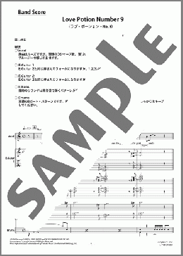Love Portion Number 9 (恋の特効薬)(The Searchers) 楽譜 バンドスコア 初～中級 ダウンロード