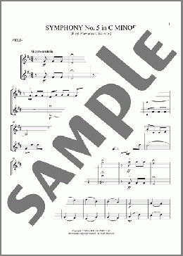 Symphony No. 5 In C Minor, First Movement Excerpt(Ludwig Van Beethoven) 楽譜 その他 ダウンロード