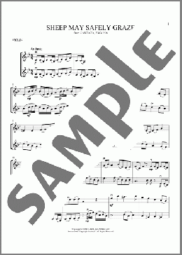 Sheep May Safely Graze(Johann Sebastian Bach) 楽譜 その他 ダウンロード