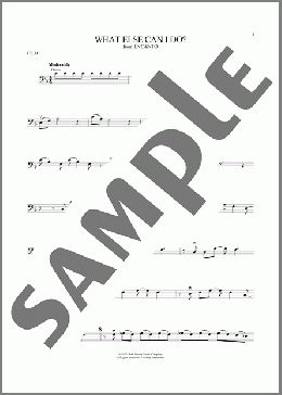 What Else Can I Do? (from Encanto)(Lin-Manuel Miranda) 楽譜 チェロ ダウンロード
