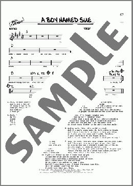 A Boy Named Sue(Johnny Cash) 楽譜 その他 ダウンロード