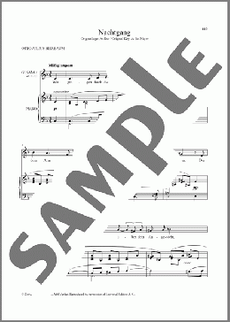 Nachtgang (Low Voice)(Richard Strauss/Otto Julius Bierbaum) 楽譜 ピアノ & ボーカル ダウンロード