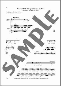 Wie Sollten Wir Geheim Sie Halten (Low Voice)(Richard Strauss/Adolf Friedrich von Schack) 楽譜 ピアノ & ボーカル ダウンロード