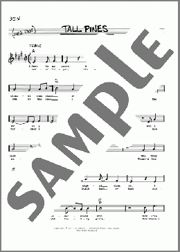Tall Pines(Damon Black) 楽譜 その他 ダウンロード