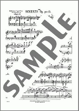 Scherzo In B-Flat Major, D. 593, No. 1(Franz Schubert) 楽譜 ピアノ（ソロ） ダウンロード