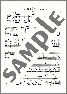 Sonata In A Major, Op. 120, 2nd mvt(Franz Schubert) 楽譜 ピアノ（ソロ） ダウンロード