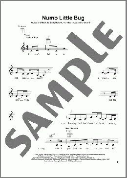 Numb Little Bug(Em Beihold) 楽譜 ウクレレ（ソロ） ダウンロード
