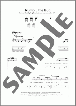Numb Little Bug(Em Beihold) 楽譜 ギター（ソロ） ダウンロード