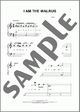 I Am The Walrus(The Beatles) 楽譜 その他 ダウンロード