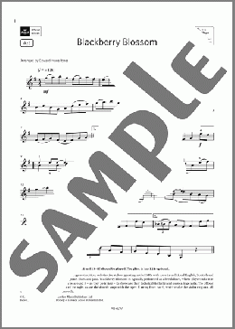 Blackberry Blossom (Grade 3, A1, from the ABRSM Violin Syllabus from 2024)(Trad. American) 楽譜 バイオリン ダウンロード