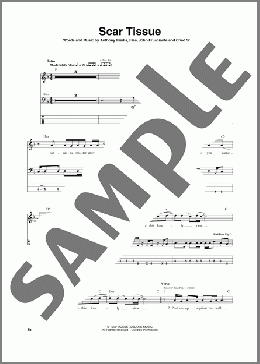 Scar Tissue(Red Hot Chili Peppers) 楽譜 ベース ダウンロード