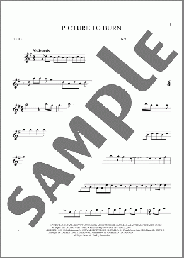 Picture To Burn(Taylor Swift) 楽譜 フルート ダウンロード