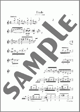 エチュード ニ短調 ＜Etude d-moll＞(Coste Napoleon) 楽譜 ギター（ソロ） 中級 ダウンロード