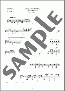 パラグァイ舞曲 第2番 ＜Danza paraguaya 2 (Jha,che valle)＞(Agustin Barrios-Mangore) 楽譜 ギター（ソロ） 上級 ダウンロード