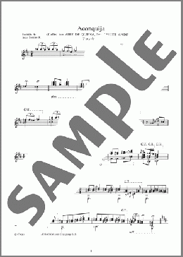 アコンキーハ ＜Aconquija (Called too Aire de Quena,from Suite Andina＞(Agustin Barrios-Mangore) 楽譜 ギター（ソロ） 上級 ダウンロード