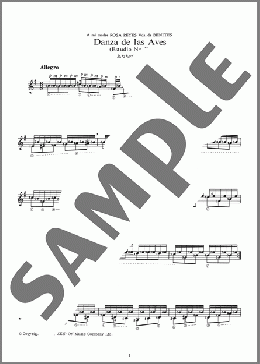 鳥たちの踊り ＜Danza de las Aves (Estudio No.2)＞(Jorge Bravo de Rueda) 楽譜 ギター（ソロ） 中級 ダウンロード