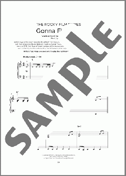 Gonna Fly Now (Theme from Rocky)(Bill Conti/Ayn Robbins/Carol Connors) 楽譜 その他 ダウンロード