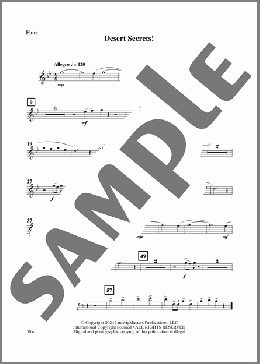 Desert Secrets! - Flute(David M. Martin) 楽譜 その他 ダウンロード