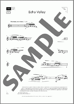 Echo Valley (Grade 7, list B3, from the ABRSM Clarinet Syllabus from 2026)(Michael Head) 楽譜 クラリネット ダウンロード