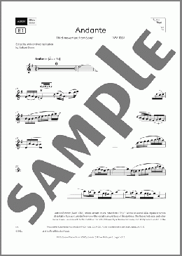 Andante (Grade 7, list B1, from the ABRSM Flute Syllabus from 2026)(Johann Sebastian Bach) 楽譜 フルート ダウンロード