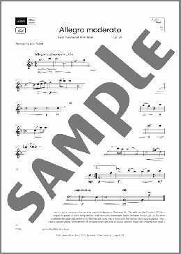 Allegro moderato (Grade 4, list B2, from the ABRSM Flute Syllabus from 2026)(Anton?n Dvor?k) 楽譜 フルート ダウンロード