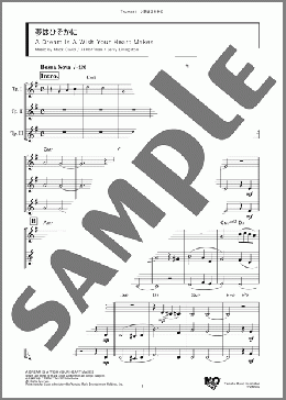 夢はひそかに(Mack David/Al Hoffman/Jerry Livingston) 楽譜 アンサンブル（フルスコア） ダウンロード